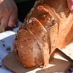 Dożynki Gminne 2024 Osiek nad Wisłą